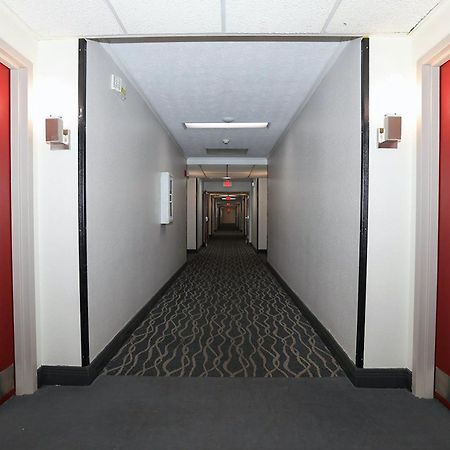 Red Roof Inn & Suites Lexington - Hamburg Zewnętrze zdjęcie